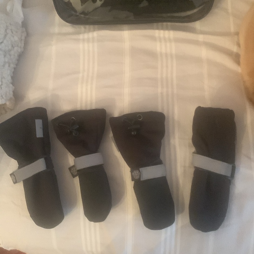 DOG BOOTIES
Protection from snow, ice, and rock salt
Velcro closings Sz. 2 - Picture 2 of 2